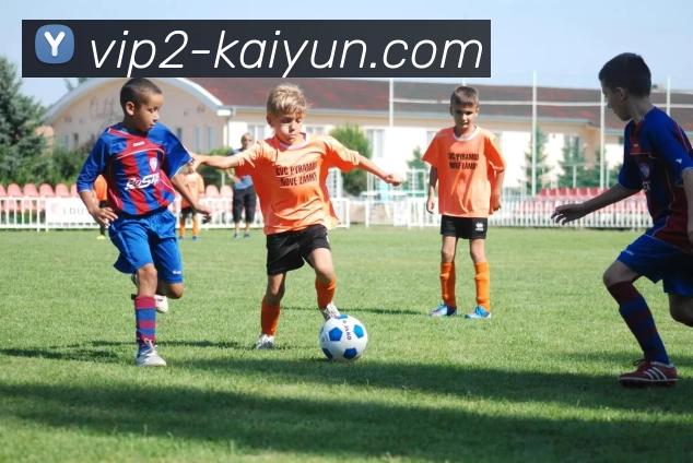 开云电竞平台生态图